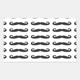 Sticker Rectangulaire Moustaches