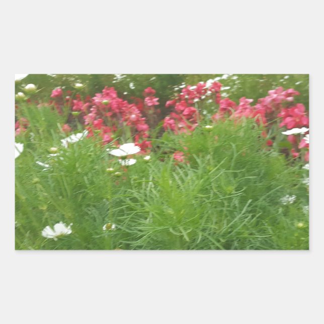 Sticker Rectangulaire Nature Floral rose et blanc Fleurs Grass (Devant)