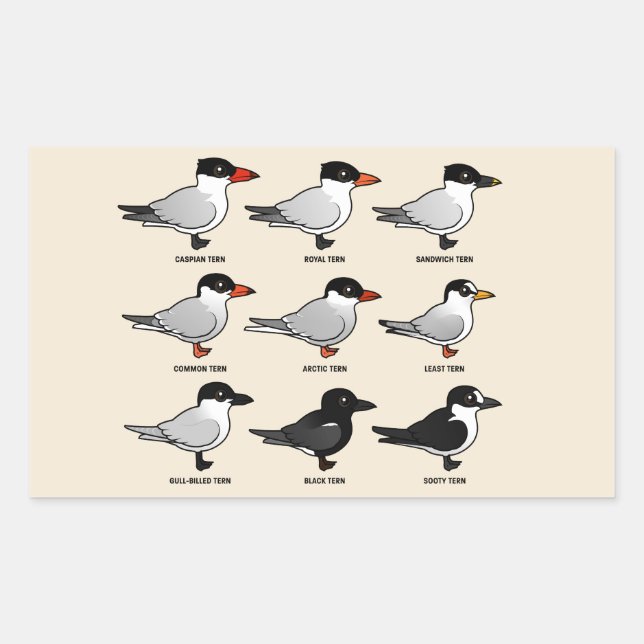 Sticker Rectangulaire Neuf Sternes Birdables (étiquetées) (Devant)