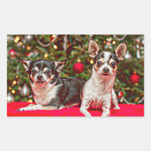 Sticker Rectangulaire Noël au Chihuahua