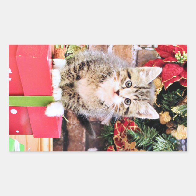 Sticker Rectangulaire Noël - Chat Kitty - Monki (Devant)