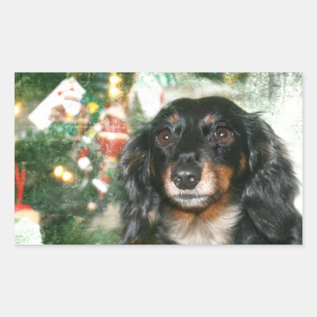 Sticker Rectangulaire Noël Dachshund (Devant)