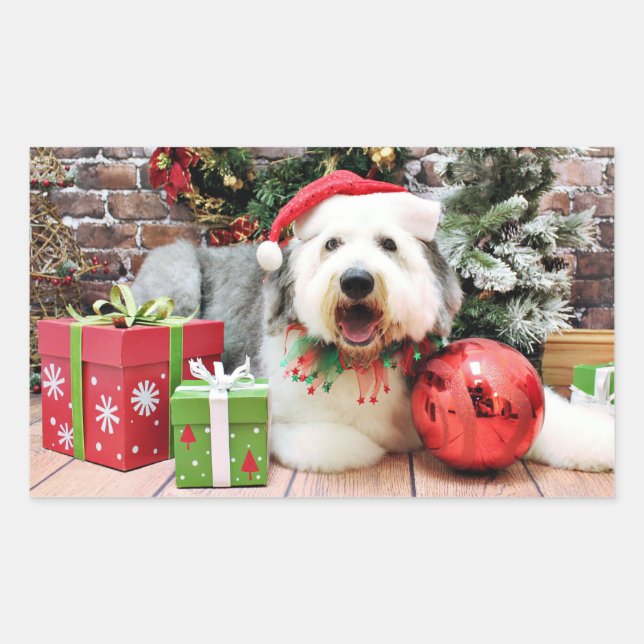 Sticker Rectangulaire Noël - vieux chien de berger anglais - Alphy (Devant)