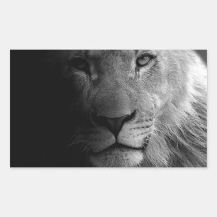 Sticker Rectangulaire Noir Blanc Motivation Leadership Lion Portrait