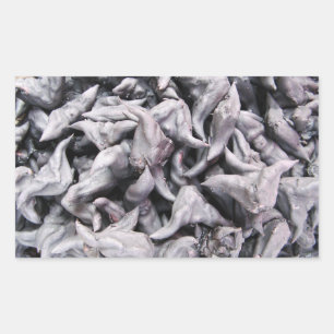 Sticker Rectangulaire Noix de buffle - Water Caltrop
