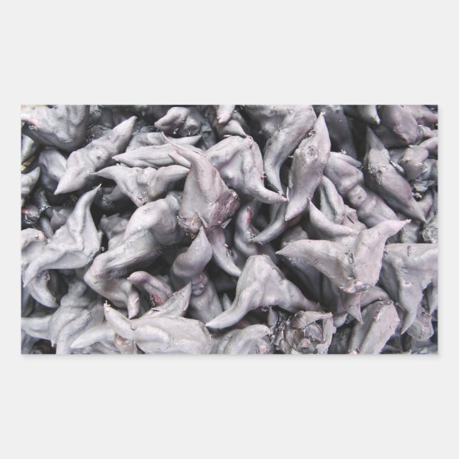 Sticker Rectangulaire Noix de buffle - Water Caltrop (Devant)