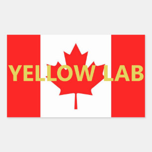 Sticker Rectangulaire Nom du Labrador jaune sur le drapeau