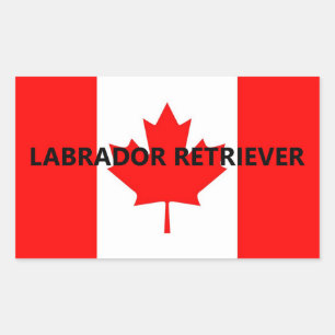 Sticker Rectangulaire Nom du Labrador Retriever sur le drapeau