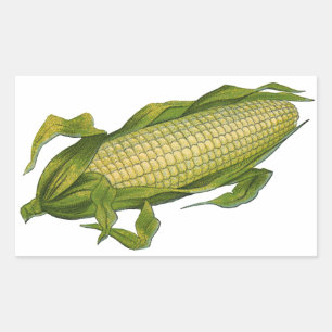 Sticker Rectangulaire Nourriture vintage, Légumes sains, Maïs sur la cui