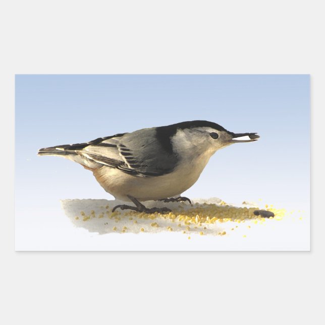Sticker Rectangulaire Nuthatch à poitrine blanche (Devant)