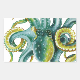 Sticker Rectangulaire Octopus Vert aquarelle Art