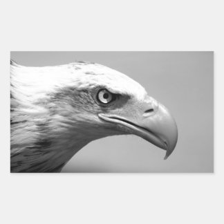 Sticker Rectangulaire Oeil d'aigle noir et blanc
