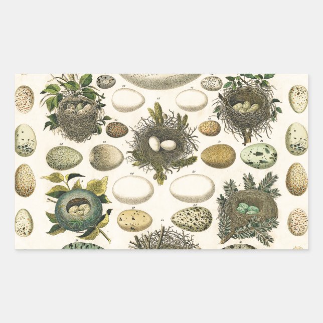 Sticker Rectangulaire OEuf vintage Nid Art Peinture OEufs (Devant)