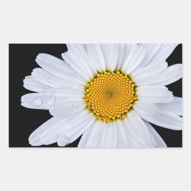 Sticker Rectangulaire offre (Devant)
