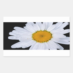 Sticker Rectangulaire offre
