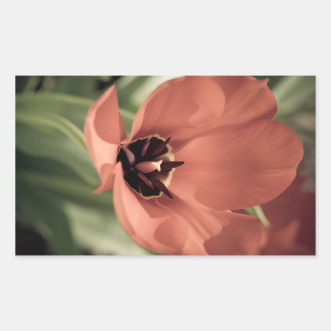 Sticker Rectangulaire On saute (Devant)