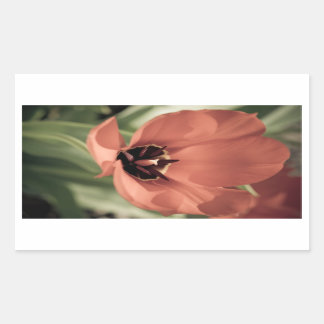 Sticker Rectangulaire On saute