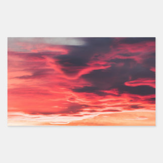 Sticker Rectangulaire onde féline