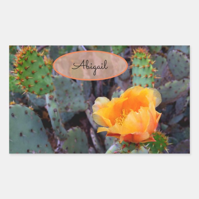 Sticker Rectangulaire Orange Fleur Cactus Blossom Opuntia Prickear (Devant)