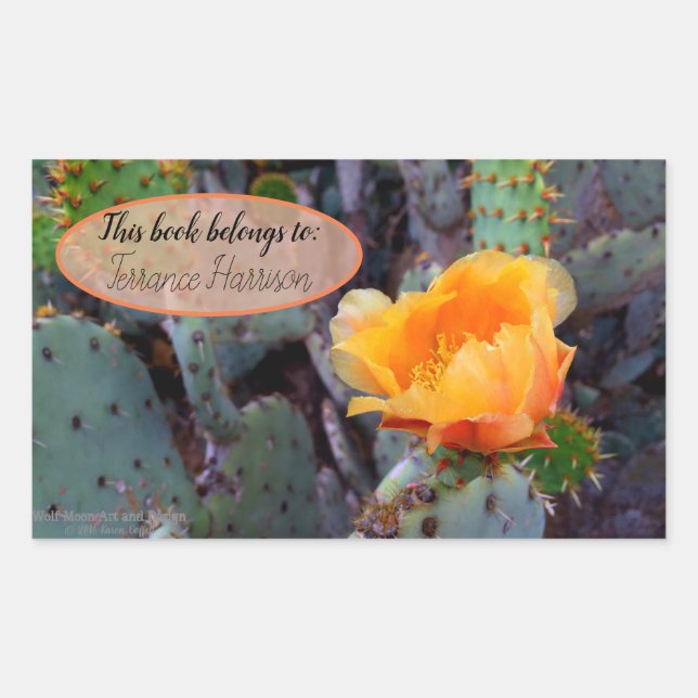 Sticker Rectangulaire Orange poire opuntia cactus photo fleur (Devant)