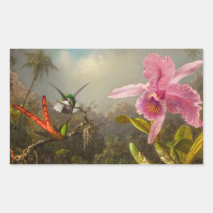 Sticker Rectangulaire Orchidée avec deux colibris Heade
