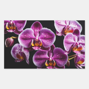 Sticker Rectangulaire Orchidée Fleur colorée Fleur Décoration Fleur