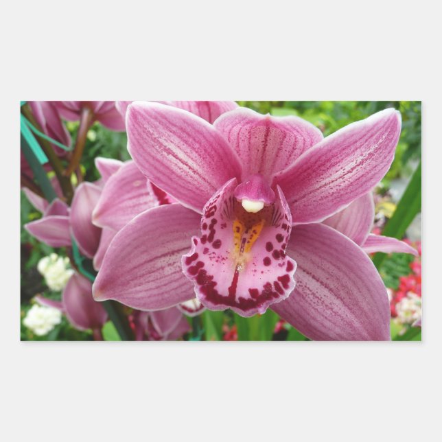 Sticker Rectangulaire Orchidée violette Élégante Florale (Devant)
