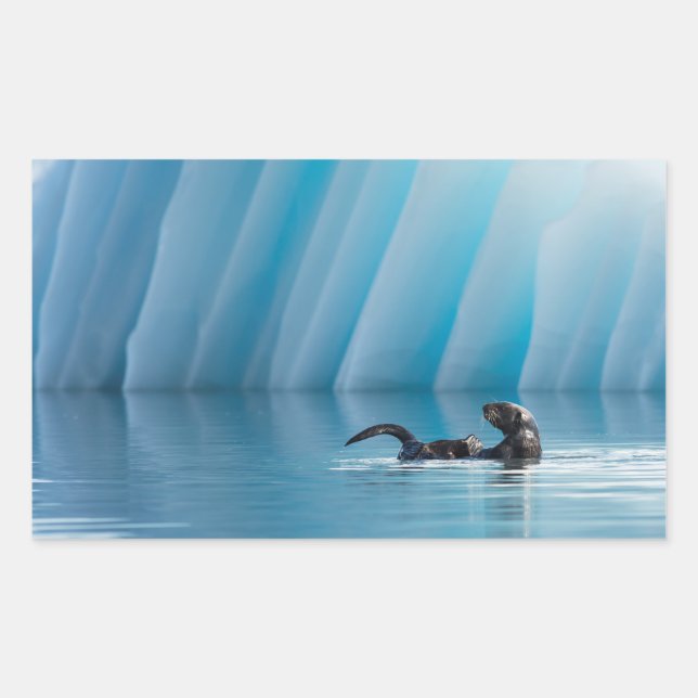 Sticker Rectangulaire Otter de mer joueuse (Devant)