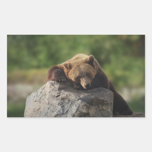 Sticker Rectangulaire ours  (Devant)