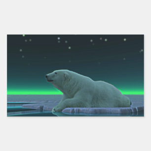 Sticker Rectangulaire Ours polaire à bord de glace