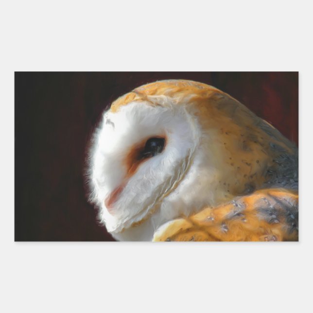 STICKER RECTANGULAIRE OWLS (Devant)