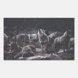 Sticker Rectangulaire Pack Wolf