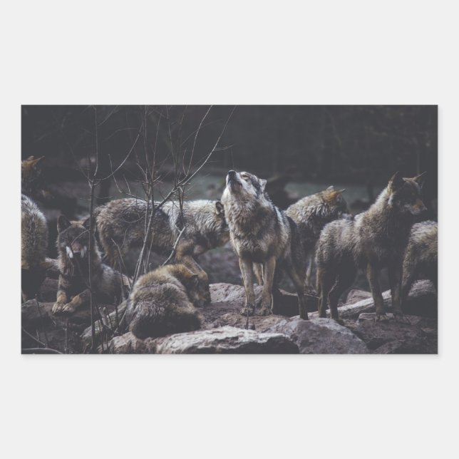Sticker Rectangulaire Pack Wolf (Devant)