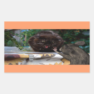 Sticker Rectangulaire Paix !