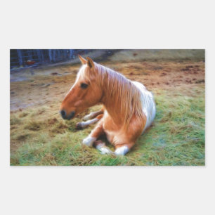 Sticker Rectangulaire Palomino Pinto Cheval Repose d'oeuvres