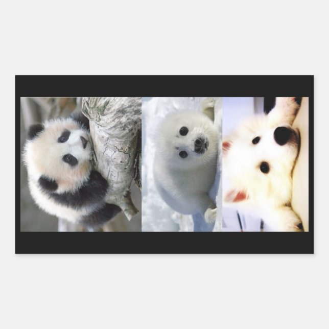 Sticker Rectangulaire Panda-Seal-Mini-Esquimau Américain (Devant)