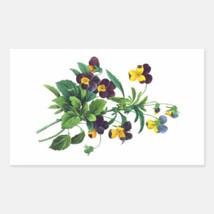 Sticker Rectangulaire Pansies bleu jaune et violet par PJoseph Redoute