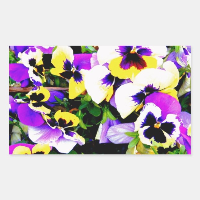 Sticker Rectangulaire pansy flowers (Devant)
