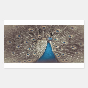 Sticker Rectangulaire Paon Bleu Antique