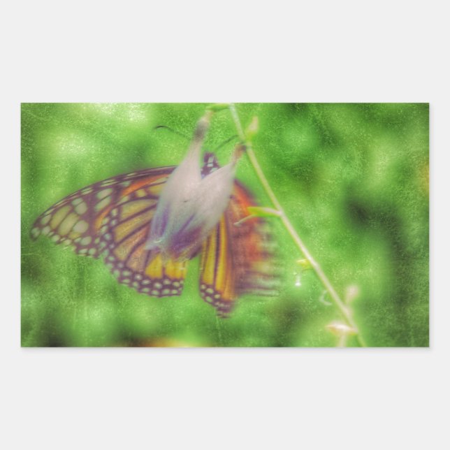 Sticker Rectangulaire Papillon (Devant)
