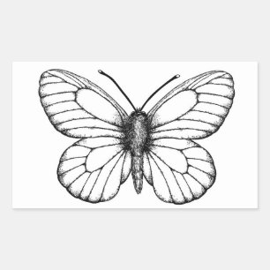 Sticker Rectangulaire Papillon blanc à veine noire