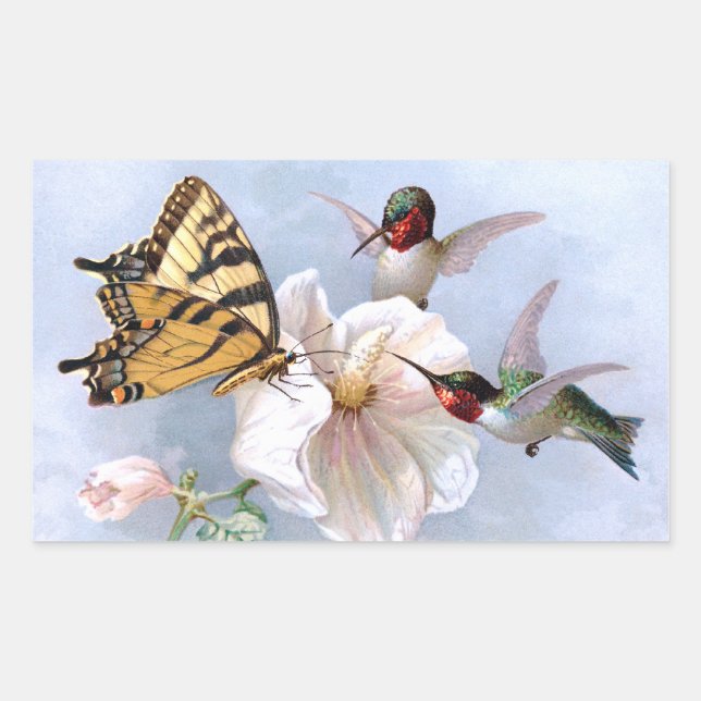 Sticker Rectangulaire Papillon et colibri (Devant)