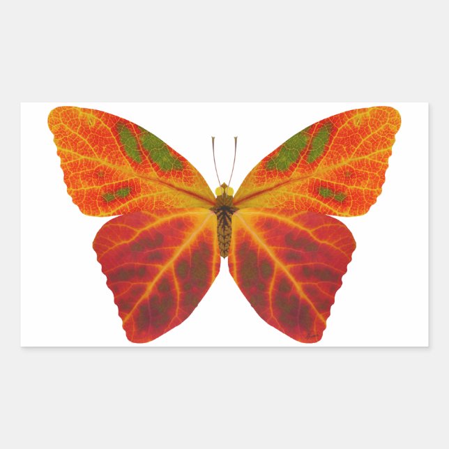Sticker Rectangulaire Papillon feuille Aspen 2 (Devant)