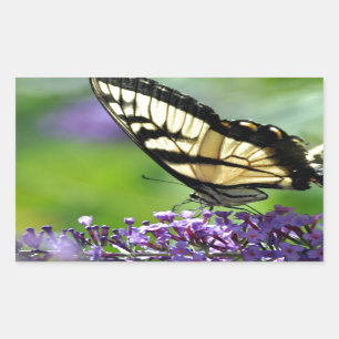 Sticker Rectangulaire Papillon jaune et noir sur lavande