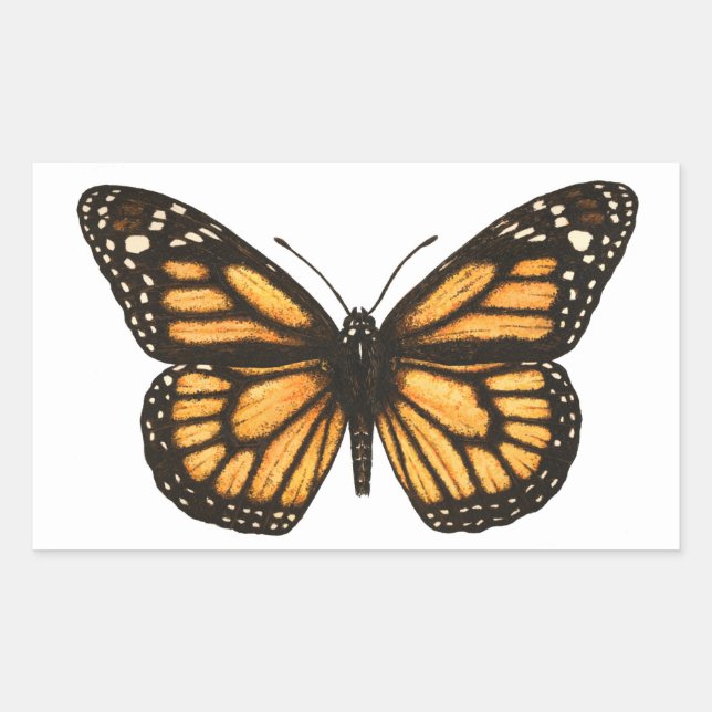 Sticker Rectangulaire Papillon monarque (Devant)