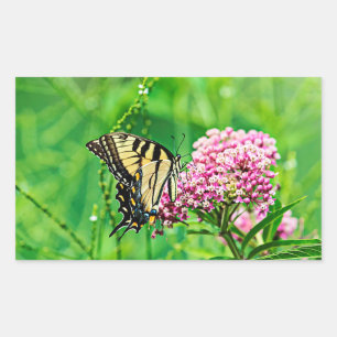 Sticker Rectangulaire Papillon oriental de machaon de tigre