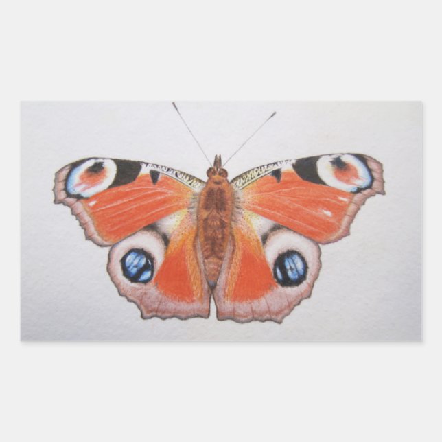Sticker Rectangulaire Papillon Peacock 2012 (Devant)