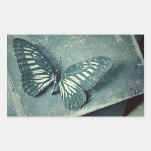 Sticker Rectangulaire Papillon sur livres vintages