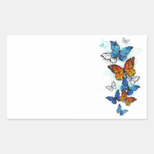 Sticker Rectangulaire Papillons volants Morpho et Monarch