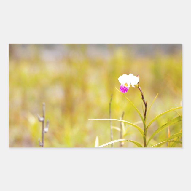 Sticker Rectangulaire Parc national des volcans d'orchidées tropicales d (Devant)